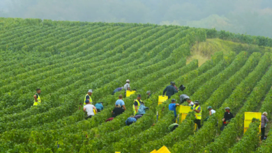 عقد عمل فلاحي في فرنسا 2022
