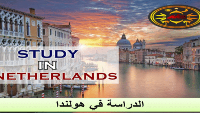 الدراسة في هولندا