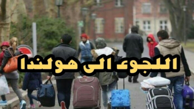 اللجوء في هولندا......الإجراءات وأهم المزايا المتوفرة 2022