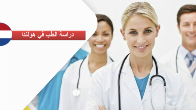 دراسة الطب في هولندا