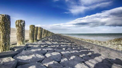 الصيف في هولندا 2022: تعرف على كل شيء عما يجب القيام به في هذا البلد الأوروبي الصغير