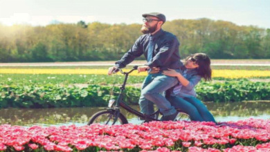 شهر العسل في هولندا: خذ إجازة رومانسية إلى أرض الزنبق