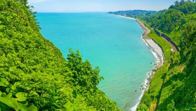 شواطئ جورجيا 2022