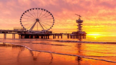 أفضل الشواطئ في هولندا للذهاب إلى الجنون والبرية في هذا البلد الجميل