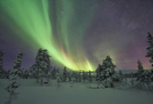 أمتع الأشياء في السويد التي عليك تجربتها خلال شهر ديسمبر