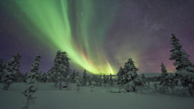 أمتع الأشياء في السويد التي عليك تجربتها خلال شهر ديسمبر