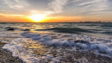 افضل فنادق المنامة 5 نجوم على البحر