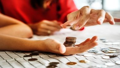 الاستثمار في مونتينيغرو افضل القطاعات والمجالات