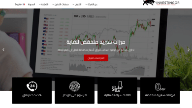 شركة إنفستنغور Investingor