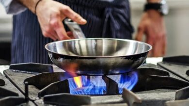 دليل صيانة لاجيرمانيا في مصر